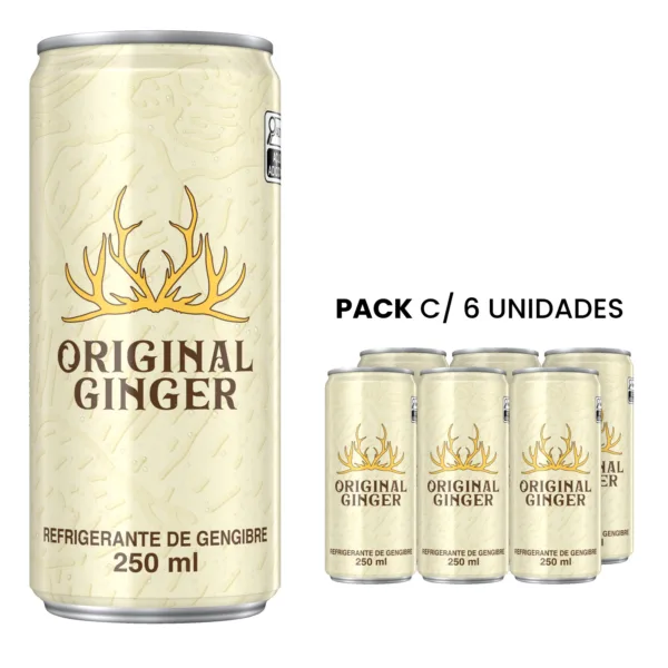 Refrigerante Original Ginger 250ml 6 UN