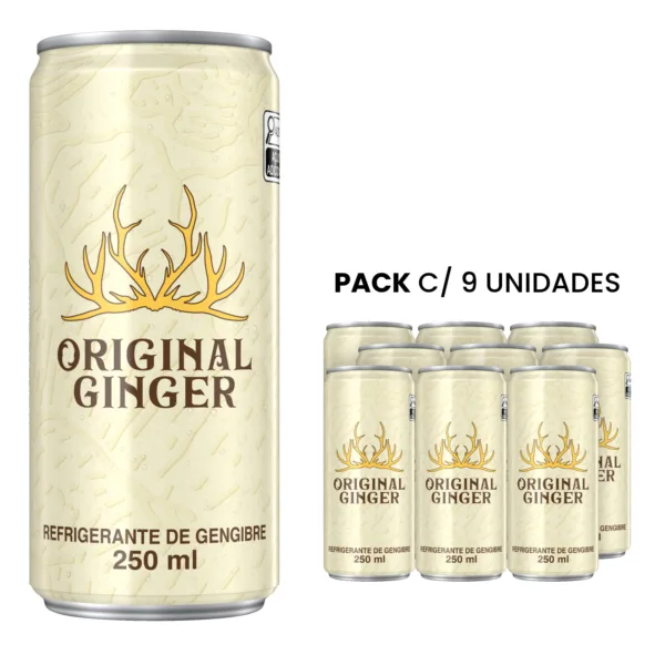 Refrigerante Original Ginger 250ml 6 UN